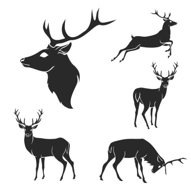 Set of black forest deer silhouettes. Suitable for logo, emblem, pattern, typography etc. Isolated black on white background. clipart