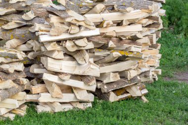 Kırsal bölgelerde kış için yakacak odun toplamak ve kurutmak. Odun yığını. Boxelder akçaağaç.