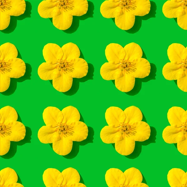 Yeşil Arka Planda Sarı Çiçekli Fotoğraf Deseni Kusursuz Desen — Stok fotoğraf