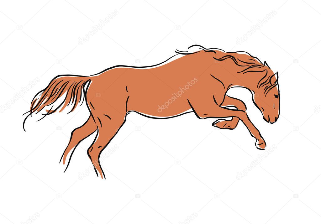 Contour drawing of a running horse. The horse is frolicking. Vector illustration on white background.