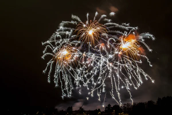 Fireworks - New Year celebrations — Stock Photo, Image