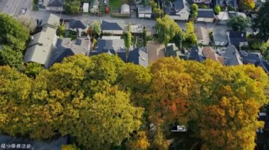 Güneşli bir günde, sonbahar sarısı ağaçlarıyla Vancouver 'ın tepeden aşağı manzarası