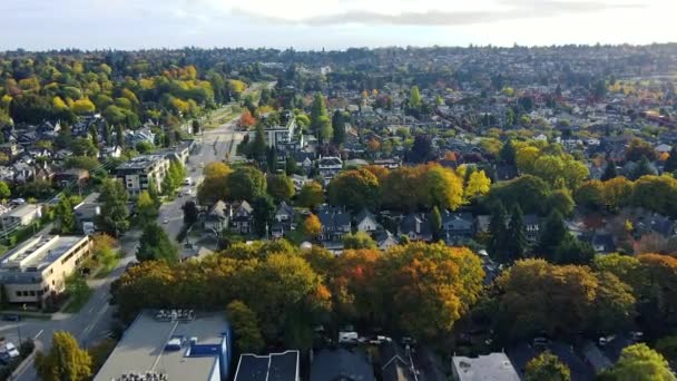 Вигляд Повітря Околиці Ванкувера Осінніми Зеленими Деревами Сонячний День — стокове відео