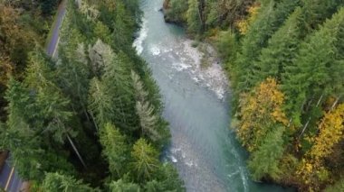 Kanada 'nın vahşi nehri ve sonbahar ağaçları tepede.
