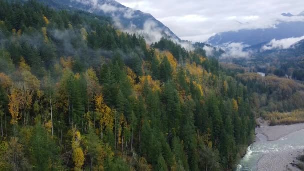 Letecký Pohled Podzimní Les Horách Nízkými Mraky Divokou Řekou — Stock video