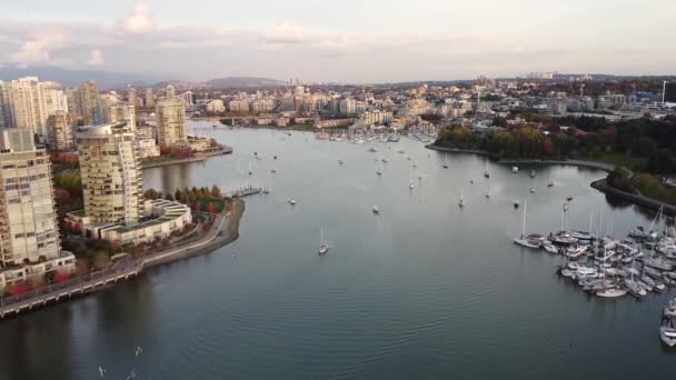 Vue Aérienne Ruisseau Vancouver Sur Coucher Soleil Avec Beaucoup Yachts — Video