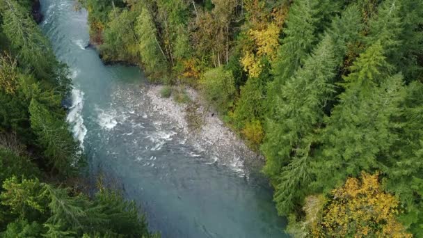 Vista Arriba Hacia Abajo Del Río Fraser Con Bosque Adyacente — Vídeos de Stock