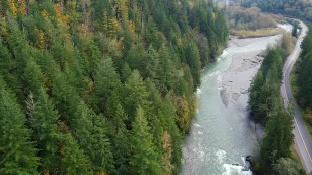 Veduta Aerea Del Fiume Con Adiacente Foresta Autunnale — Video Stock