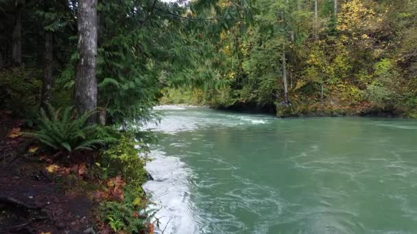 Pohled Řeku Fraser Podzim — Stock video