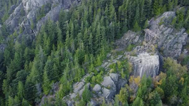 山や電線の森の空中風景 — ストック動画