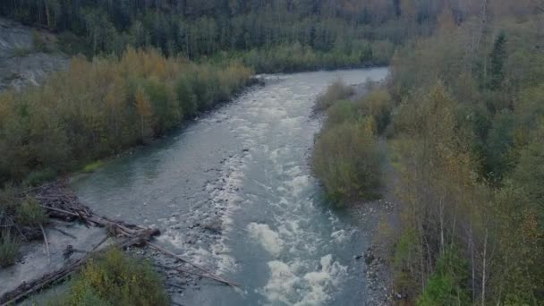 加拿大河流急流和黄绿森林的自上而下的景象 — 图库视频影像