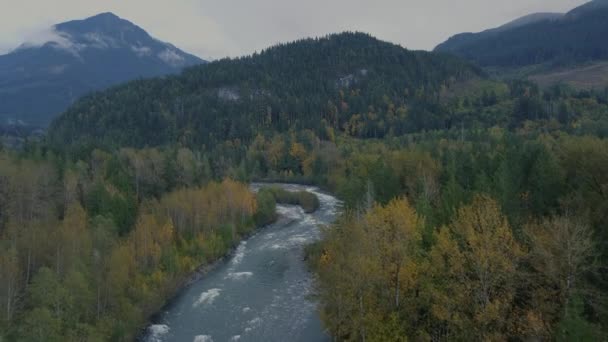 Flyga Över Floden Mellan Berg Och Kanadensisk Gul Och Grön — Stockvideo