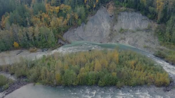 Luftaufnahme Des Wilden Kanadischen Flusses Und Der Grünen Und Gelben — Stockvideo
