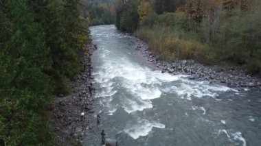 Fraser nehri akıntıları ve somon yakalayan bir sürü balıkçı.