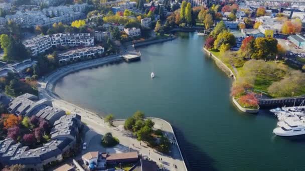 Aerial View Vancouver Creek Lonely Yacht Beautiful Autumn Trees — Stock Video