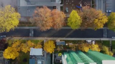 Vancouver 'da okul ve oyun parkının yanındaki sonbahar ağaçlarının en tepedeki manzarası