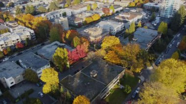 Kırmızı, sarı ve yeşil ağaçlarla Kanada 'nın hava manzarası