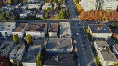 Kuzey Amerika 'da sonbahar kavşağının yukarıdan görünen renkli ağaçları.