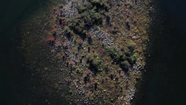 Vista Dall Alto Verso Basso Del Fiume Con Pescatori Che — Video Stock