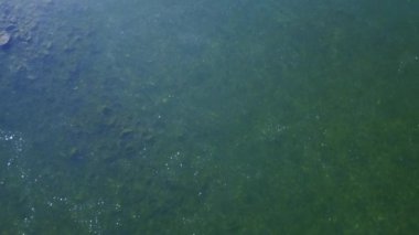 Somonlu Fraser nehrinin yukarıdan aşağı manzarası