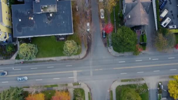 Top View Crossroad Colourful Trees Vancouver — Stock Video