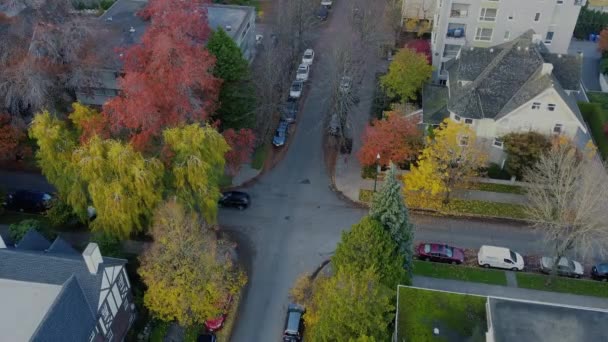 Vista Arriba Hacia Abajo Encrucijada Canadiense Con Árboles Colores Alrededor — Vídeos de Stock