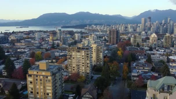 Fly Vancouver Neighbourhood Downtown Colourful Trees — Stock Video