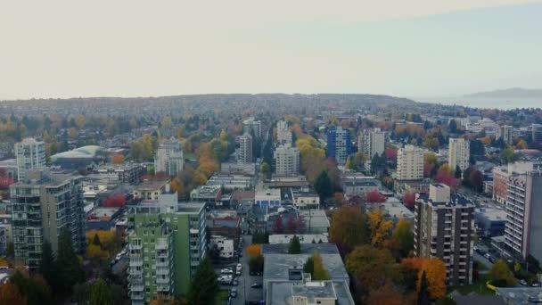 Αεροφωτογραφία Των Κτιρίων Του Βανκούβερ Και Πορτοκαλί Κίτρινα Πράσινα Δέντρα — Αρχείο Βίντεο