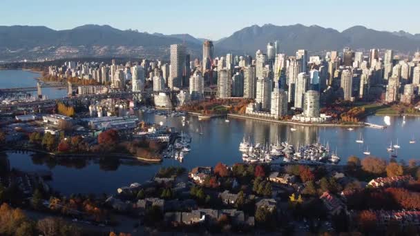 Aerial View Autumn Vancouver Downtown Passing Yachts — Stock Video