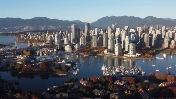 Vista Aérea Del Otoño Vancouver Centro — Vídeos de Stock