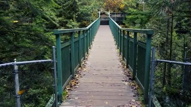 Volar Sobre Puente Canadá — Vídeo de stock