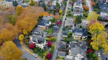 Kanada mahallesinde ve şehir merkezinde parlak renkli ağaçların en tepedeki manzarası