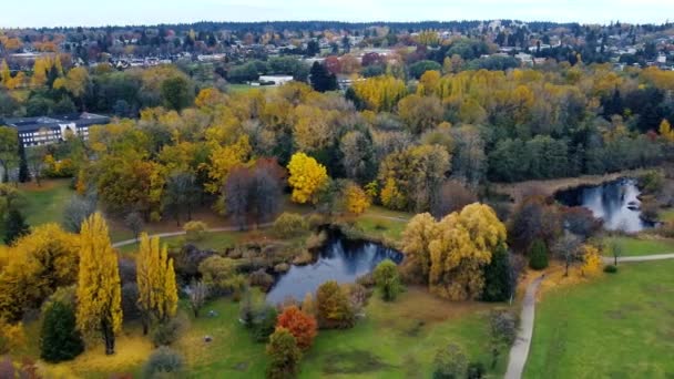 Survolez Petit Lac Parc Avec Des Arbres Jaunes Rouges Verts — Video