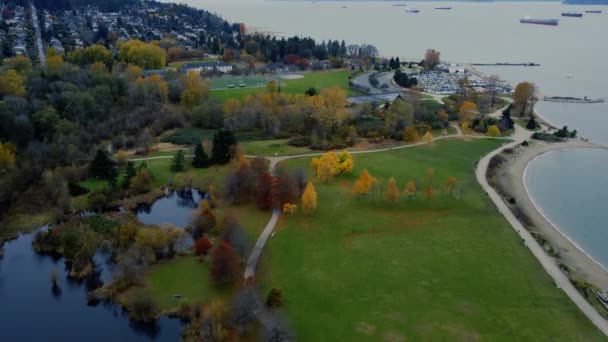 秋には湖 木やサッカー場とバンクーバーのビーチの空中ビュー — ストック動画