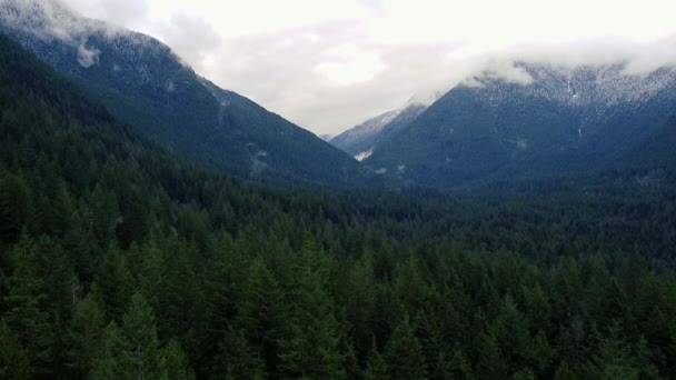 Vue Aérienne Vallée Avec Des Épinettes Vertes Des Montagnes Nuageuses — Video