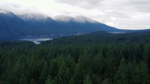 Drone Forêt Pins Verts Ruisseau Montagnes Enneigées Retour Canada — Video