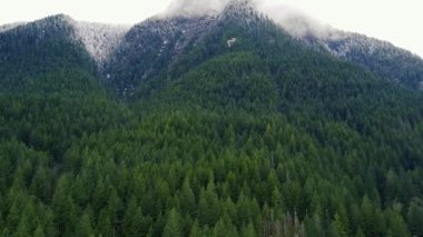 Kanada 'da dağlarda karla kaplı yeşil ağaçlara doğru uç.