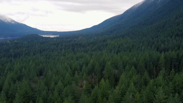 曇りの秋の日にカナダの谷の緑のスプルースの森の空中ビュー — ストック動画