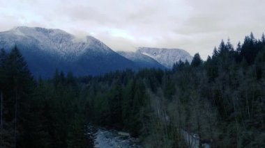 Karlı dağların yaban nehri ve ladin ormanıyla kapanış görüntüsü.