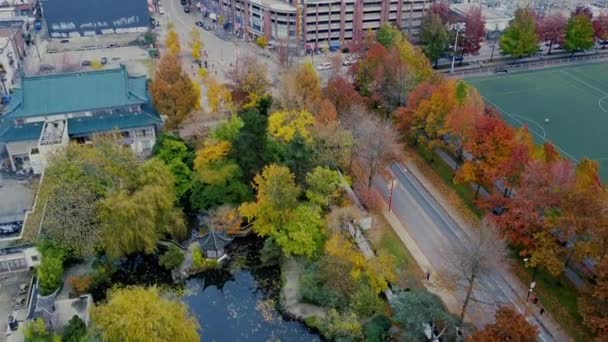 Sarı Turuncu Ağaçlı Vancouver Diskinin Yukarıdan Görünüşü — Stok video