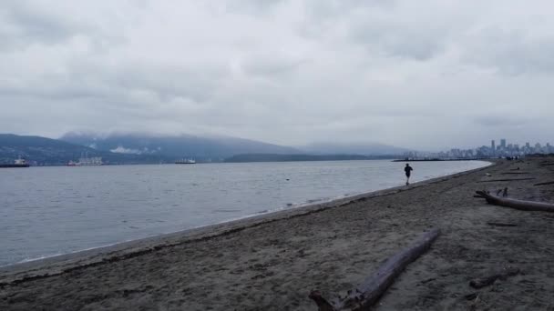 Pláž Vancouveru Výhledem Centra Nákladní Lodě Čekají — Stock video