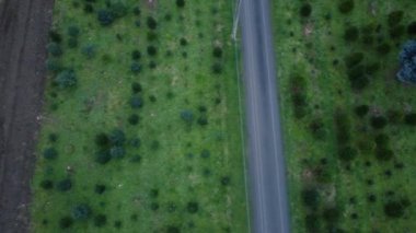 Noel ağacı çiftliğinin üzerinden uç