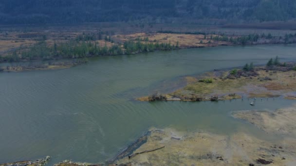 Luftaufnahme Eines Flachen Flusses Einem Bewölkten Herbsttag Kanada — Stockvideo