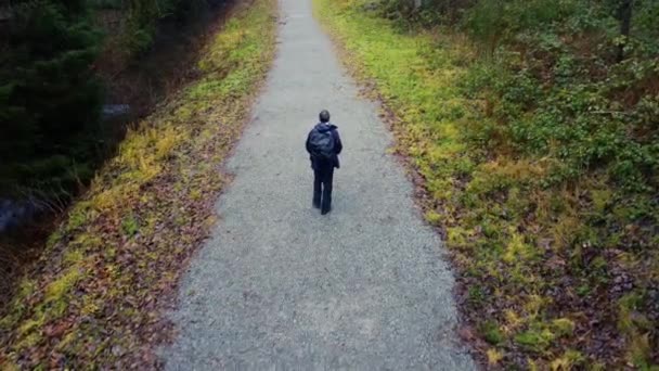 Widok Lotu Ptaka Samotnego Wędrowca Spacerującego Pustym Żwirowym Szlaku Lesie — Wideo stockowe