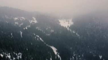 MÖ Vancouver yakınlarındaki kar ve patikaların üzerinden uç