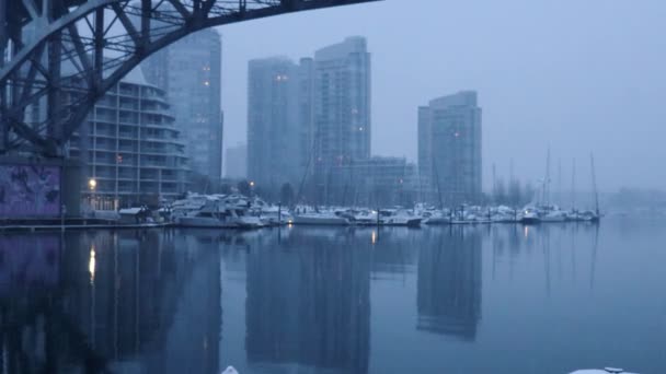 Erster Schnee Der Nähe Der Innenstadt Von Vancouver Unter Der — Stockvideo