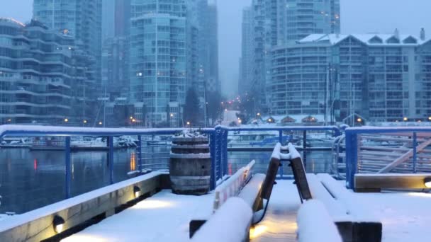 Ванкувер Центрі Міста Сніговий Ранок Від Фальш Крік — стокове відео