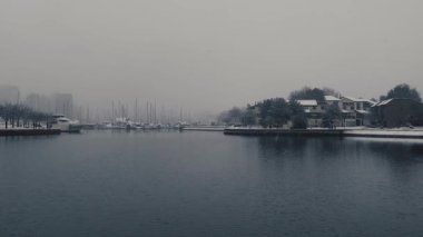 Vancouver 'daki dereye Şubat ayındaki bulutlu bir günde ağır ağır kar yağıyor.