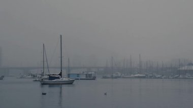 Yat ve kuşların yavaş çekim görüntüleri. Neae Vancouver şehir merkezinde.