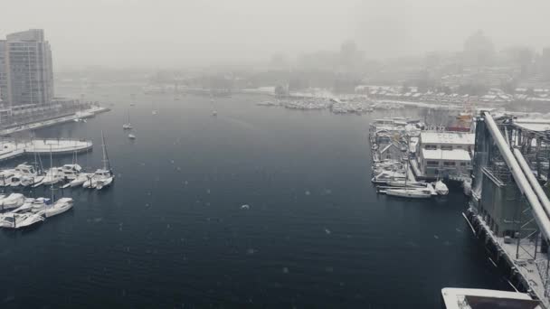 Schnee Über False Creek Vancouver Mit Segelschiffen Wasser — Stockvideo